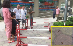 Nghi vấn người chồng đi ô tô bắn 2 phát súng khiến vợ bị thương ở Hà Nội