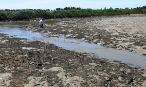 Thanh Hóa xin thêm gần 4,5 tỷ đồng hỗ trợ người dân khắc phục thiên tai: Bộ Tài chính từ chối