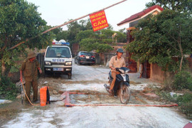 Hà Tĩnh xuất hiện ổ dịch tả lợn châu Phi đầu tiên