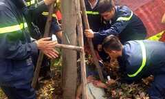 Xe cứu hỏa giải cứu nam thanh niên mắc kẹt trong gốc cây