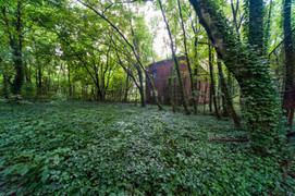 Bí ẩn hòn đảo ma giữa lòng New York