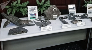 Mỹ phản ứng thế nào khi Nga trưng loạt mảnh vỡ tên lửa bị bắn hạ ở Syria?