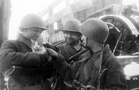 Mèo và lạc đà giúp Hồng quân đè bẹp phát xít Đức thế nào?