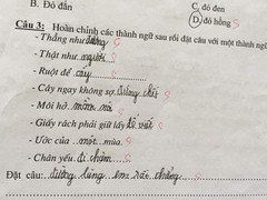 Cười nghiêng ngả với các câu thành ngữ 'khác người' được học sinh tiểu học 'chế' trong bài kiểm tra