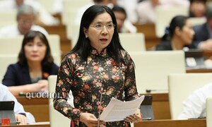 Đại biểu Quốc hội: 'Có đương sự đuổi đánh kiểm sát viên, thẩm phán ngay tại tòa'