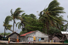 Siêu bão Kammuri tấn công nước chủ nhà SEA Games 30, 1 người thiệt mạng