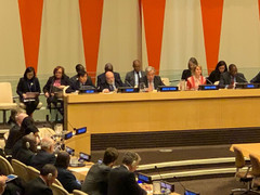 Việt Nam chia sẻ kinh nghiệm triển khai quan hệ đối tác trong hoạt động gìn giữ hòa bình