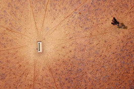 Australia truy tìm kẻ trộm nước giữa mùa hạn hán nghiêm trọng