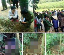 Rúng động nghi án mẹ sát hại con rồi vứt bỏ vào bụi cây