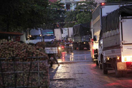 Ảnh: Kẹt cứng đường vào vựa vải lớn nhất cả nước