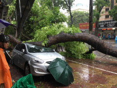 Hà Nội có 6 người thương vong do bão số 1