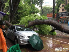 Bão số 1: Số người thương vong ở Hà Nội nhiều nhất nước