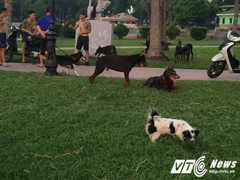 Rợn người cảnh chó gầm gừ, nhe nanh doạ cắn người ở công viên