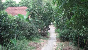 Án mạng chấn động vùng quê nghèo xứ Lạng