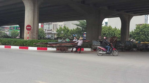 Xe 'máy chém' vẫn ngang nhiên đi trên phố thách thức cảnh sát giao thông