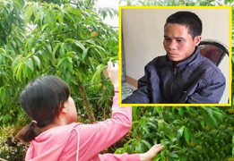 Rủ cháu bé hàng xóm đi hái mận rồi giở trò đồi bại