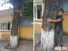 Video: Báu vật trị giá hàng chục tỷ đồng trên vỉa hè Hà Nội