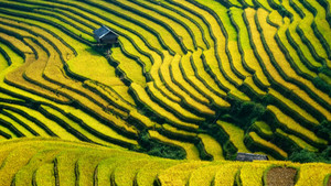 Yếu tố giúp Việt Nam nằm trong danh sách 10 nước không xung đột