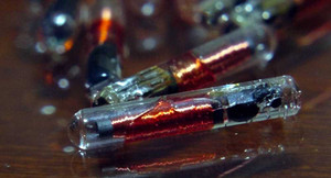 'Chưa đến 10 năm nữa, 50% người Mỹ sẽ được gắn chip vào cơ thể'