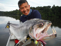 10 'thủy quái' đáng sợ nhất trên sông Amazon