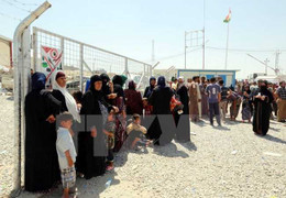 IS hành quyết hàng chục người ở Iraq