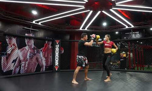 300 tỷ đồng đưa hệ thống tập võ tự do UFC Gym về Việt Nam