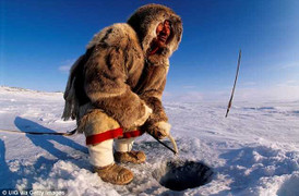 Âm thanh bí ẩn vọng về từ đáy biển gần Bắc Cực khiến các nhà khoa học 'bó tay'