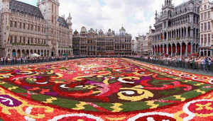 Đại sứ quán Bỉ sắp tổ chức 'Tuần lễ Bỉ' đầu tiên ở Việt Nam