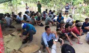 Nổ súng phá sới đá gà 'khủng', bắt giữ 51 người