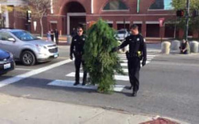 Người đàn ông bị bắt vì cải trang thành cây xanh, cản trở giao thông