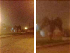 Tranh cãi về 'con quỷ' 2 cánh khổng lồ trong bức ảnh chụp vội ở Mỹ