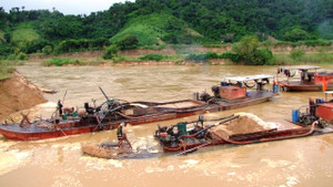 Phó Thủ tướng: Dẹp 'cát tặc', tạm dừng cấp phép dự án xã hội hóa tận thu cát nhiễm mặn