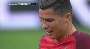 Bướm đêm đậu lên mặt Ronaldo, phá đám chung kết Euro 2016