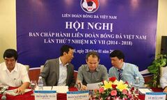 Lại tiếp tục hoãn đại hội VFF?