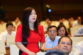 'Hiếm ở quốc gia nào, mỗi tỉnh, thành phố có một dự án như Việt Nam'