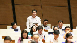 Đại biểu Quốc hội: Cắt lương hưu vĩnh viễn, xoá danh xưng cán bộ vi phạm