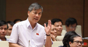 ĐBQH: Tại sao để người xấu Trung Quốc sang Việt Nam làm loạn đến vậy?