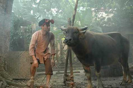 Đĩa hài Tết 2010: Nhạt, nhảm và nhố nhăng?