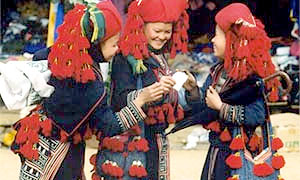 Lục bát tặng đôi tình nhân chàng 36 nàng 80