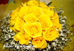 Yêu thêm lần nữa