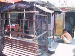 Đà Nẵng: 6 tỷ đồng xóa nhà tạm cho người nghèo