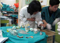 Nuốt cả vốc đinh, bệnh nhân tâm thần nhập viện