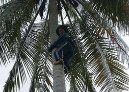 Những tai nạn thương tâm của chú nhỏ