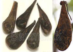 HN: Uống mật gấu, một người bỗng đen thui như Bao Công