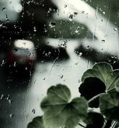 Em mạnh mẽ bởi vì em yếu đuối