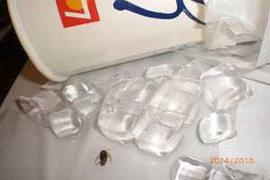 Ly trà chanh chứa gián: Lotteria chính thức xin lỗi