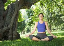 Kế sách thu nhỏ “cô bé” hiệu quả