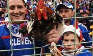 Chờ gà trống Gaulois đánh thức mặt trời