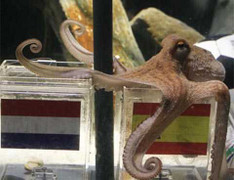 Quan điểm: 6 lý do 