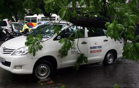 Mưa lớn, cây cổ thụ bật gốc đè bẹp taxi